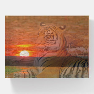 Tiger With Sunset Paperweight