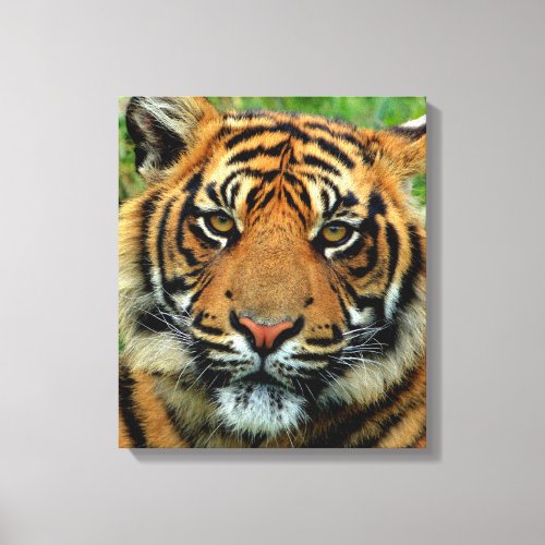 Tiger Wrapped Canvas Art