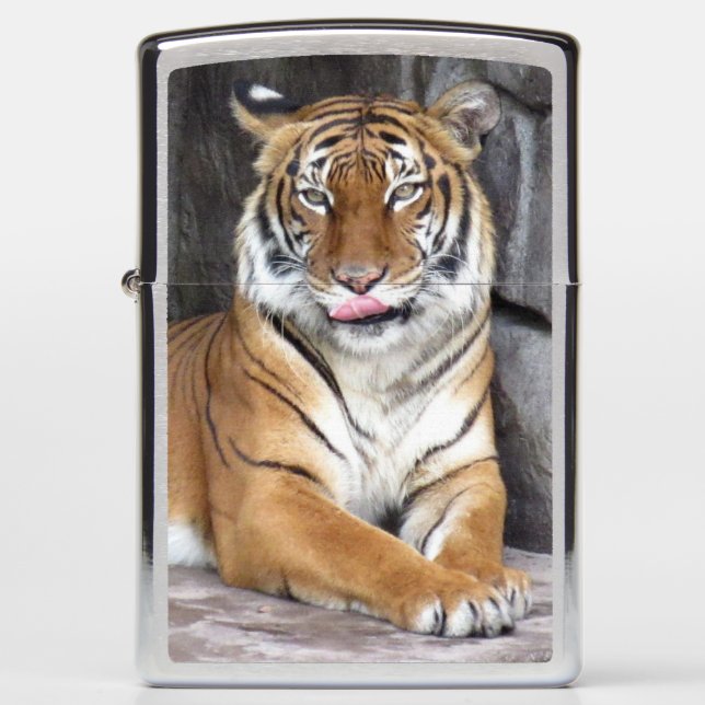 Tiger Zippo Lighter (Front)