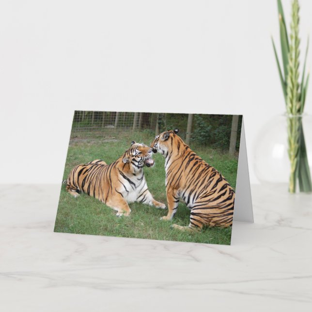 TigerFriends 007 Card (Front)
