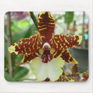 tigerorchid mouse pad