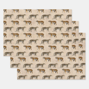 Tigers and Leopards on Tan Wrapping Paper Sheets