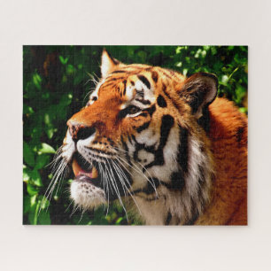 Tigers Big Cats. Jigsaw Puzzle