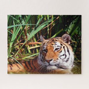 Tigers Big Cats. Jigsaw Puzzle
