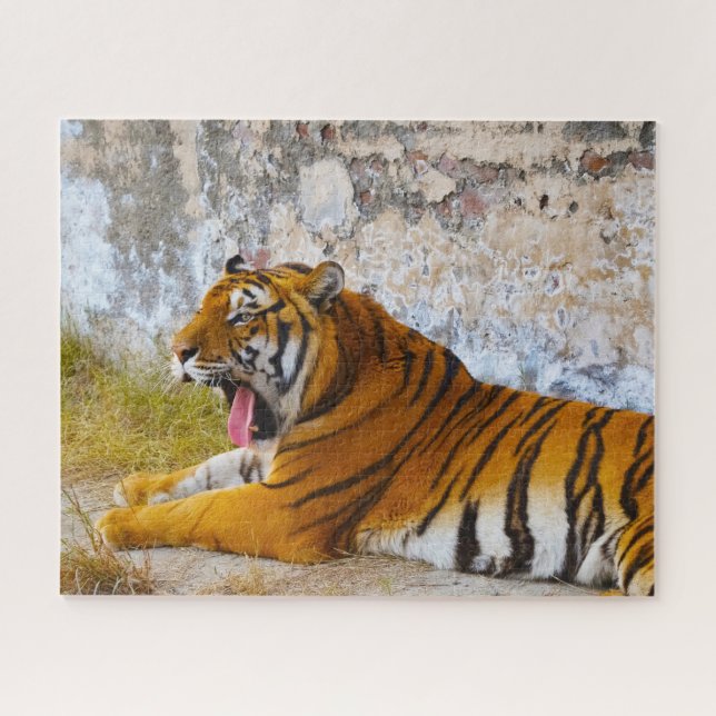 Tigers Big Cats. Jigsaw Puzzle (Horizontal)