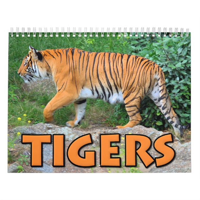 Tigers Calendar (Cover)