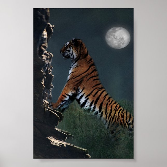 Tigers climb poster (Front)