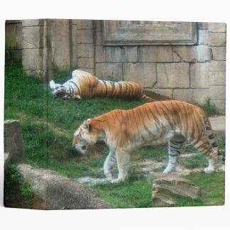 Tiger's Den Binder