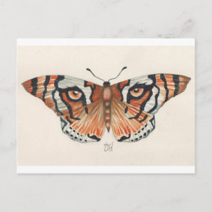 tiger's eye butterfly postcard