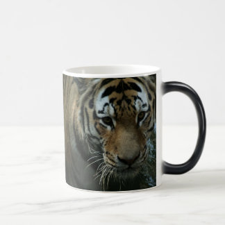 Tiger's Eye Color Morph Mug