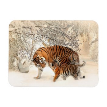 Tigers Family Magnet by Pir1900 at Zazzle