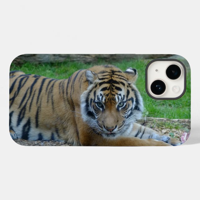 Tiger's Gaze iPhone / iPad Case (Back (Horizontal))
