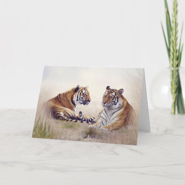Tigers Greeting Card (Front)