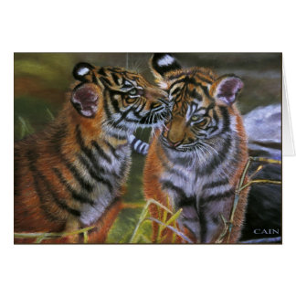 TIGERS IN LOVE CARDS