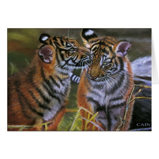 TIGERS IN LOVE CARDS (Front Horizontal)