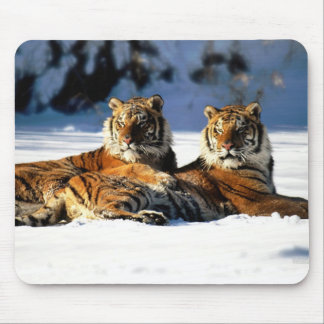tigers in snow mouse pad