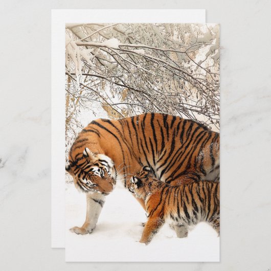 Tigers in the snow (Front/Back)