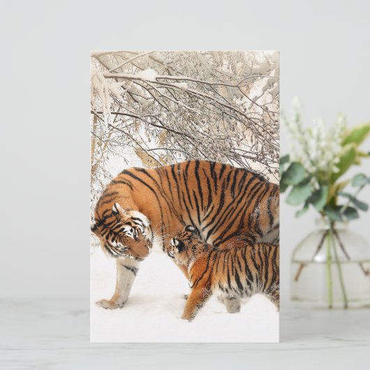 Tigers in the snow (Standing Front)