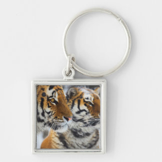 Tigers in the Snow Keychain