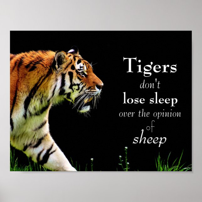 Tigers // Motivational Poster (Front)