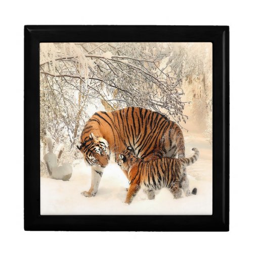 tigers on snow gift box