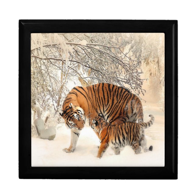 tigers on snow gift box (Front)