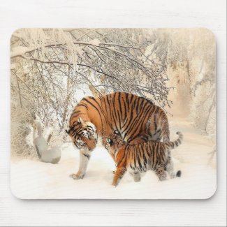 tigers on snow