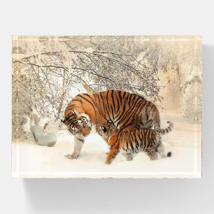 Tigers Paperweight