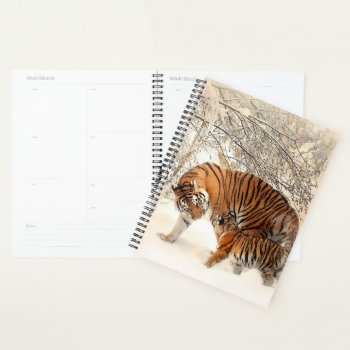 Tigers Planner by NatureTales at Zazzle