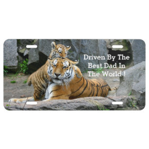 Tigers Playing License Plate