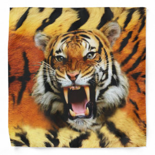 Tiger's Roar Bandana