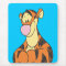 Tigger 5