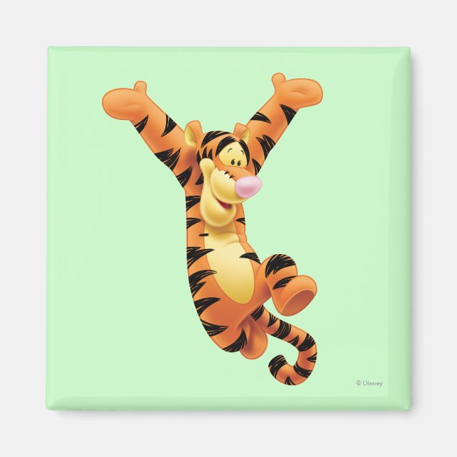 Tigger 7 magnet (Front)