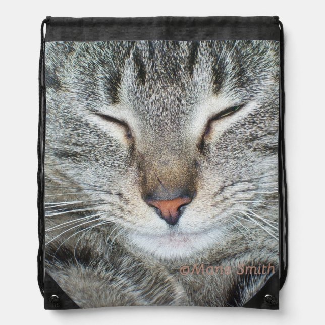 Tigger Drawstring Bag (Front)