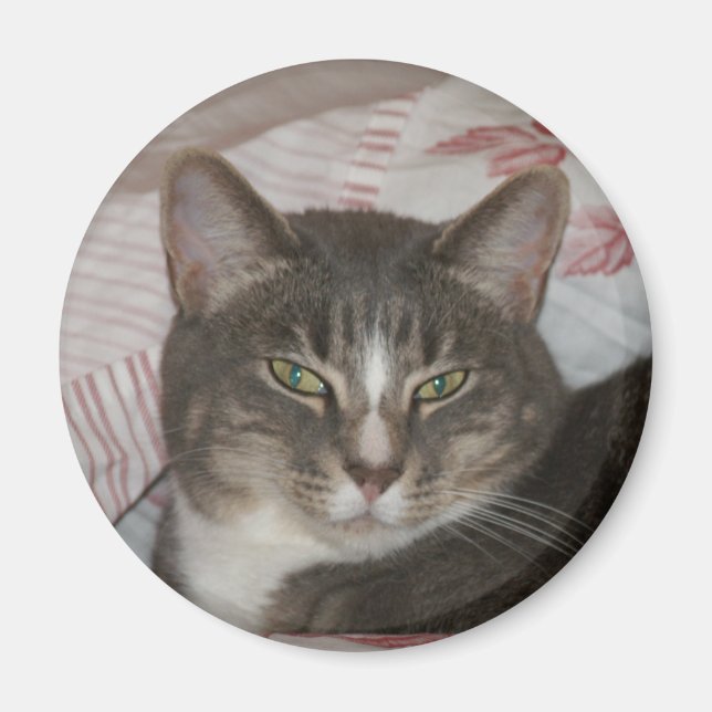 Tigger Magnet (Front)