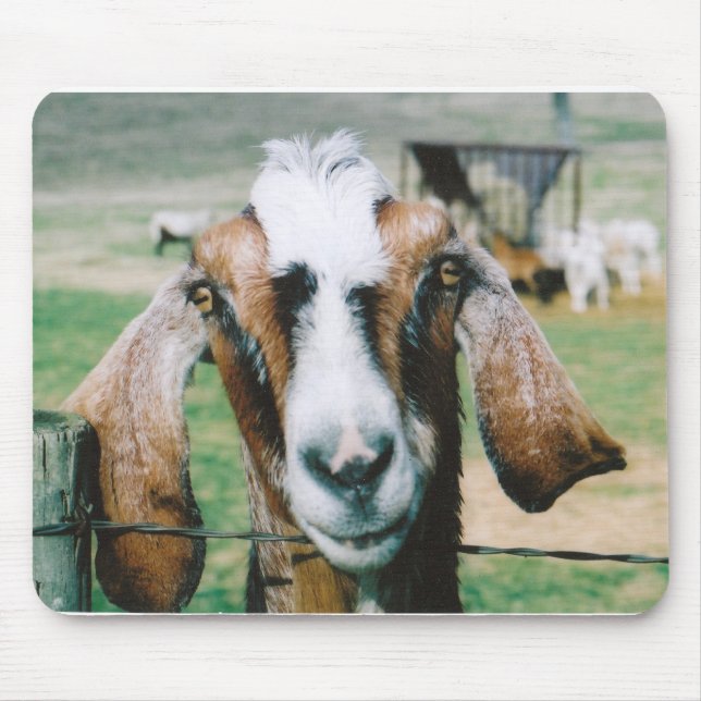 tigger mouse pad (Front)