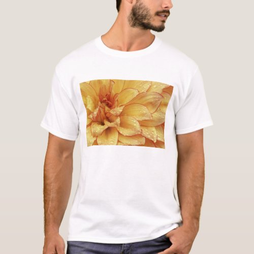 Tight in photographs of Dalhia flower with the 2 T_Shirt