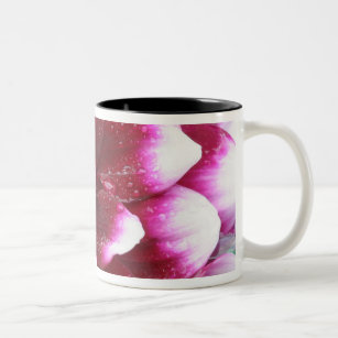 Tight in photographs of Dalhia flower with the Two-Tone Coffee Mug