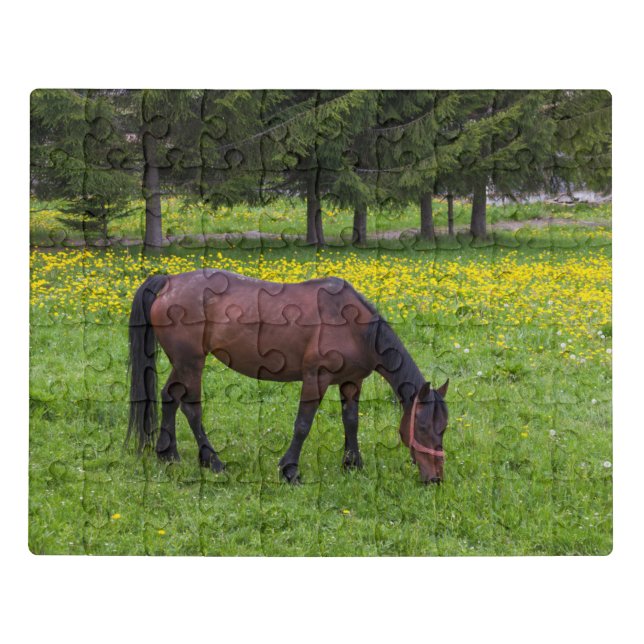 Tihuta Pass, Horse in Pasture Jigsaw Puzzle (Puzzle Horizontal)