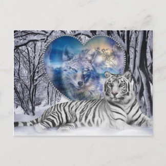 tijgertje postcard