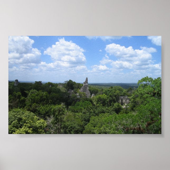 Tikal from Temple V Poster (Front)