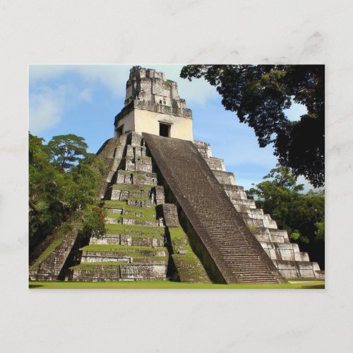 Tikal Guatemala Maya Temple  Postcard