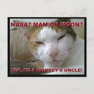 Tiki Monkey Postcard - FLat Earth Meme