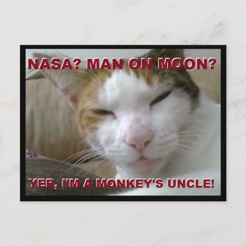 Tiki Monkey Postcard _ FLat Earth Meme