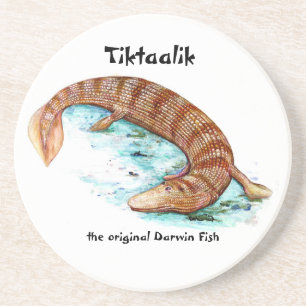 Tiktaalik coaster