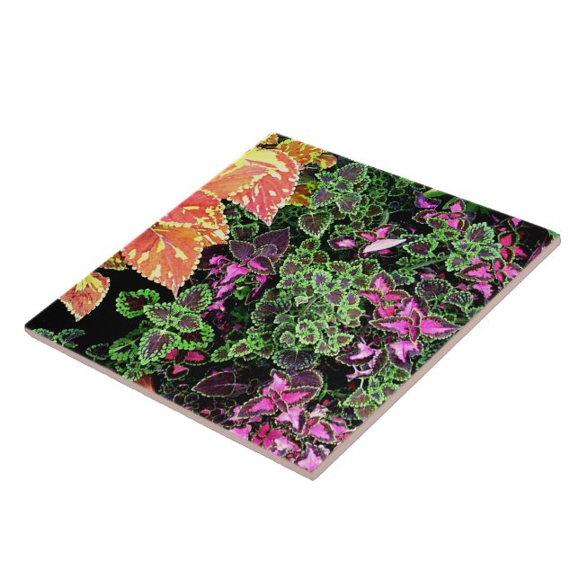 TILE,"COLORFUL COLEUS" DECORATIVE TILE (Side)