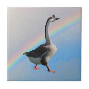 Tile - Goose and Rainbow