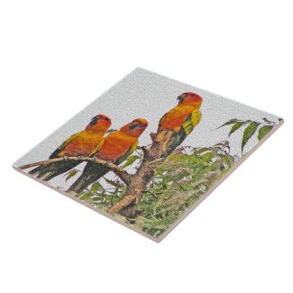 TILE/TRIVET, THREE ORANGE PARROTS (DIGITAL MANIP)