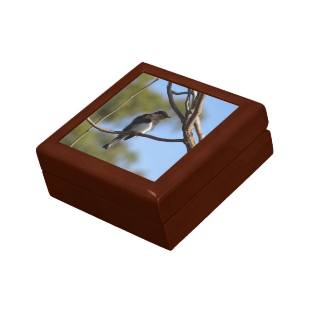 Tiled Box - Flycatcher (Side)
