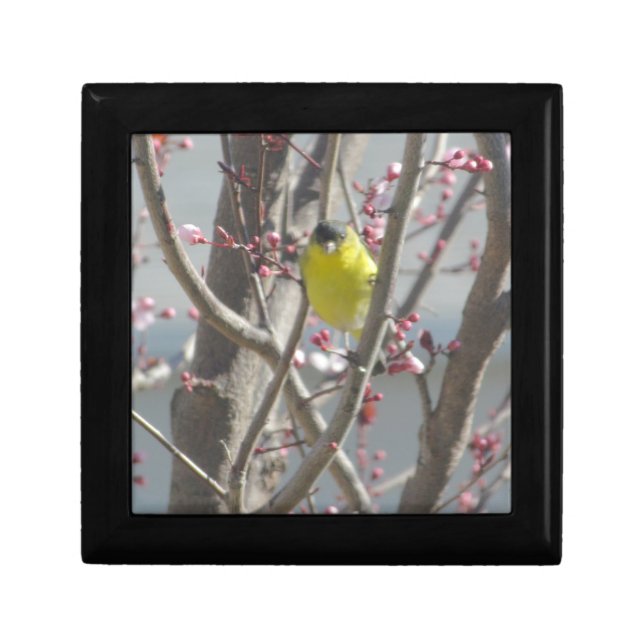 Tiled Box - Yellow Finch in Cherry Tree (Front)